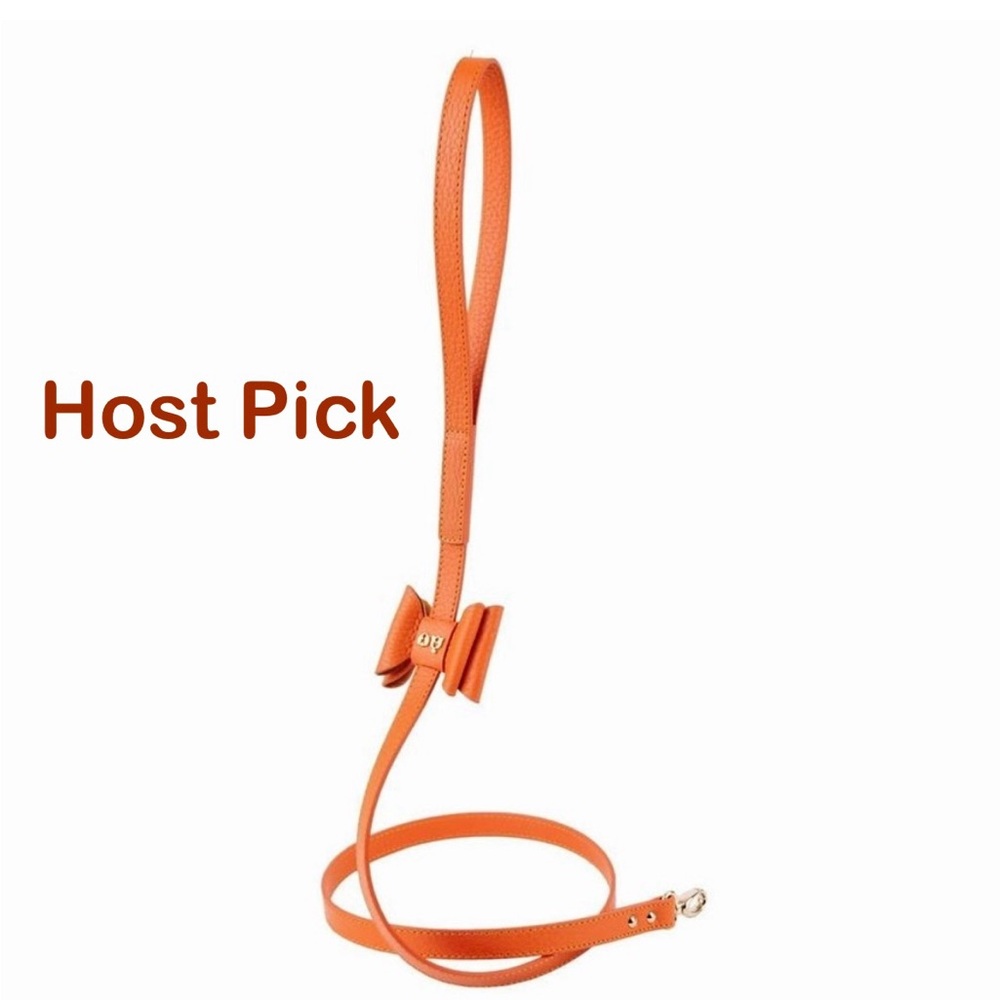 MOSHIQA Orange Leather Dog Leash Lead Bow Pet Cat Celebrity Designer Sustainable